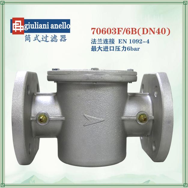 70603F/6B过滤器法兰连接DN40纤维棉过滤器意大利giuliani anello