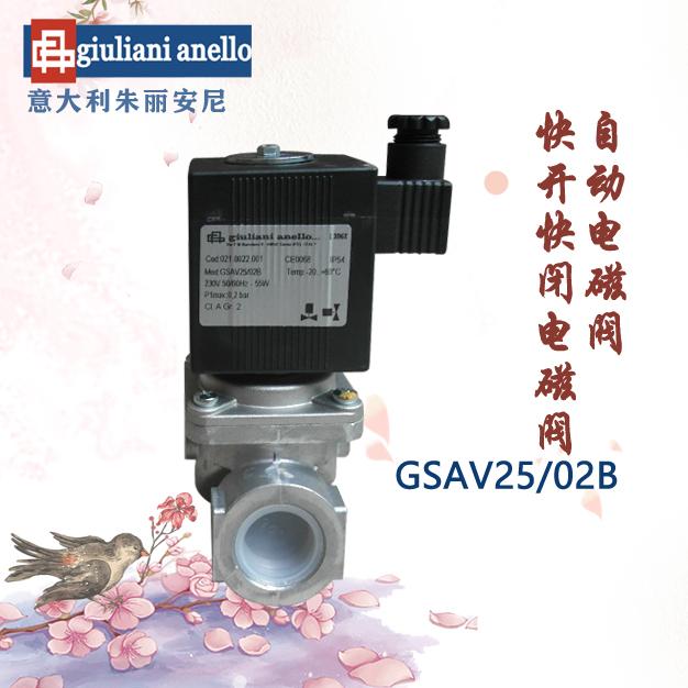 GSAV25/02B快开快闭电磁阀意大利朱丽安尼