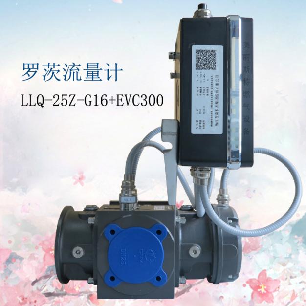 罗茨流量计LLQ-25Z-G16+EVC300苍南气体罗茨流量计