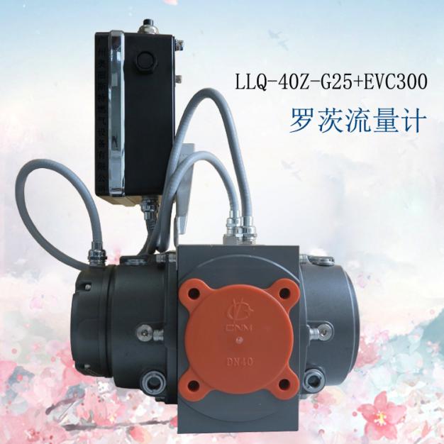 流量计LLQ-40Z-G25+EVC300苍南气体罗茨流量计