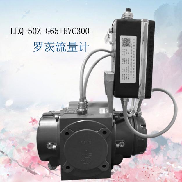 罗茨流量计LLQ-50Z-G65+EVC300苍南气体罗茨流量计