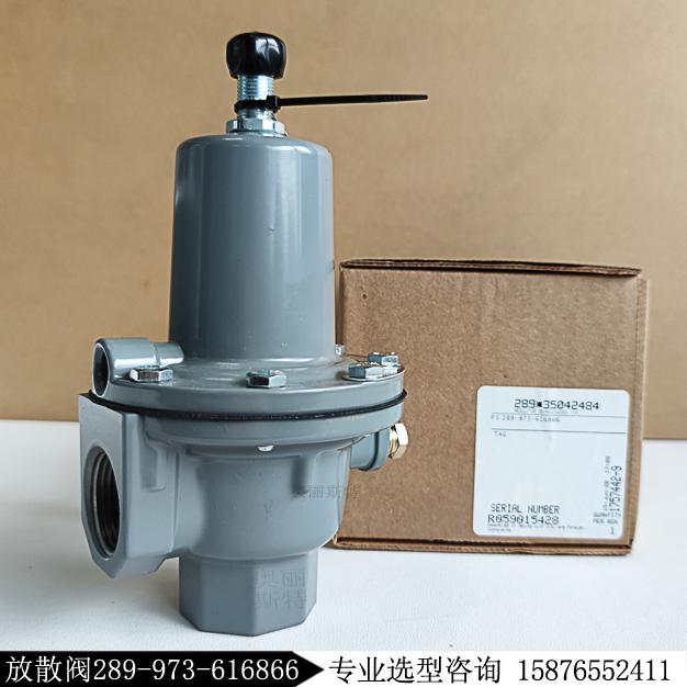 Fisher安全放散阀289H-41新编码289-973-616866现货